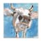 Stupell Industries Close Up White Cattle Farm Animal Portrait,12" x 12"